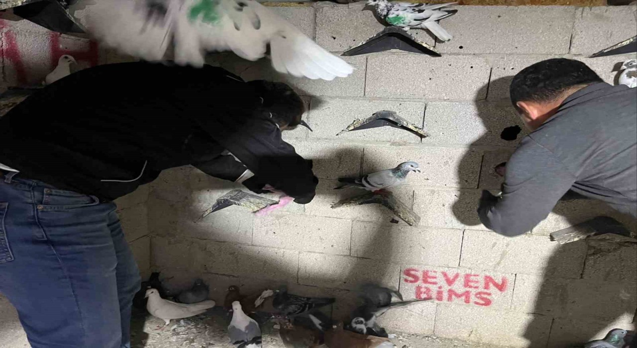 Hatayda kuş kümesinden 2 kilo 500 gram uyuşturucu madde ve para çıktı