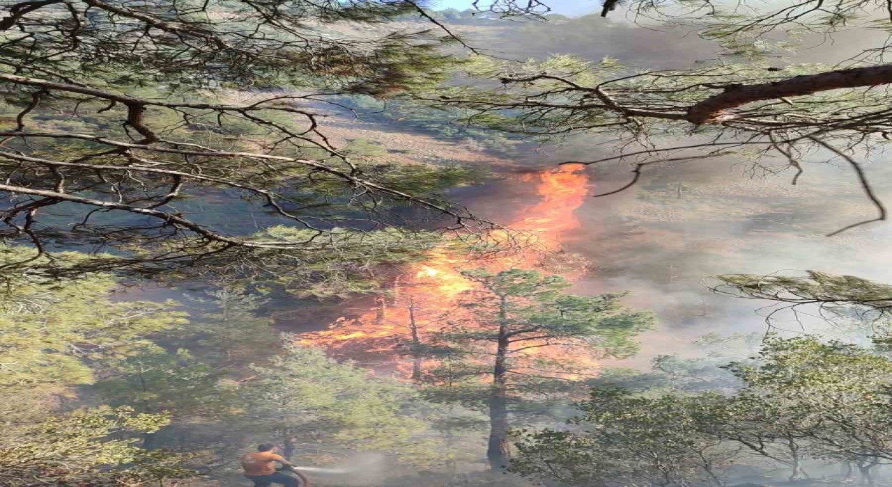 Hatayda orman yangını