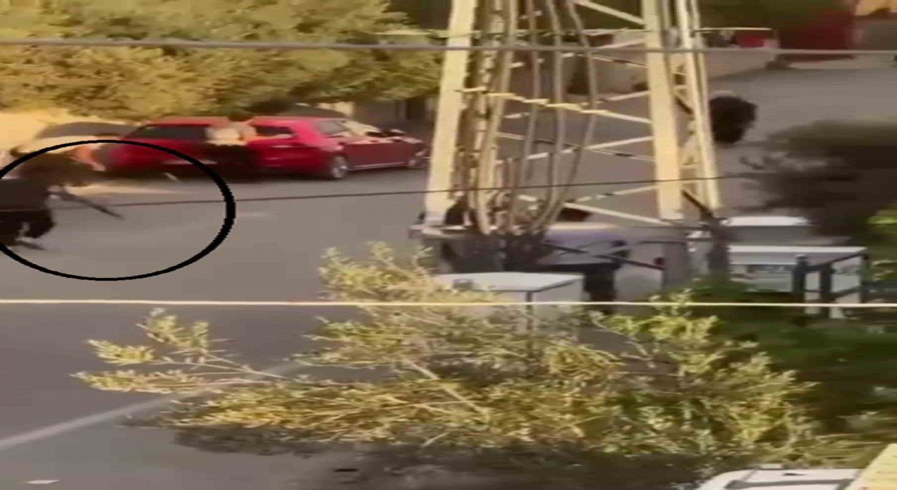 Hatayda sokak ortasında iki aile arasında silahlı kavga: 7 kişi yaralandı