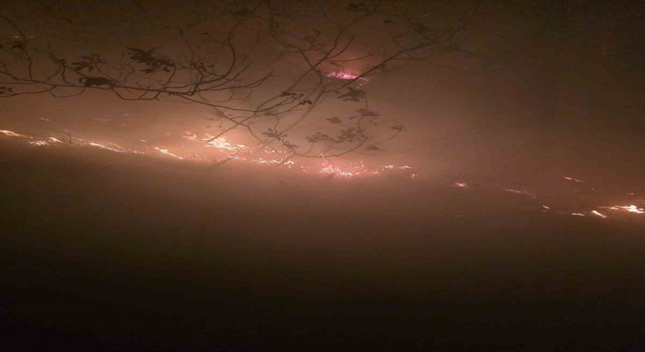 Hatayda yıldırımın düştüğü ormanlık alanda yangın çıktı