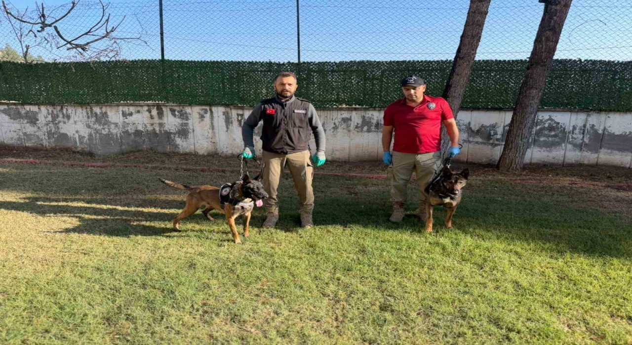 Hector ve Mailo, Batmanda uyuşturucu tacirlerinin korkulu rüyası oldu