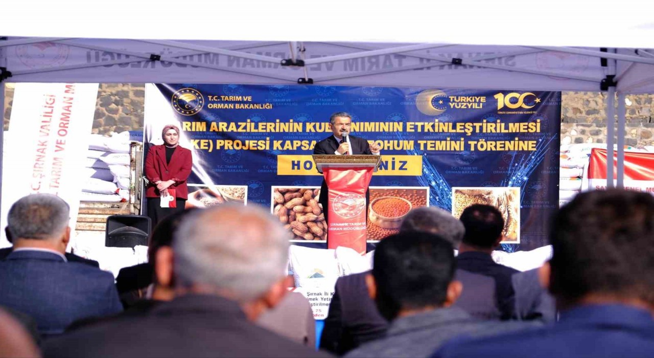 İdilde 107 ton kırmızı mercimek tohumu dağıtıldı