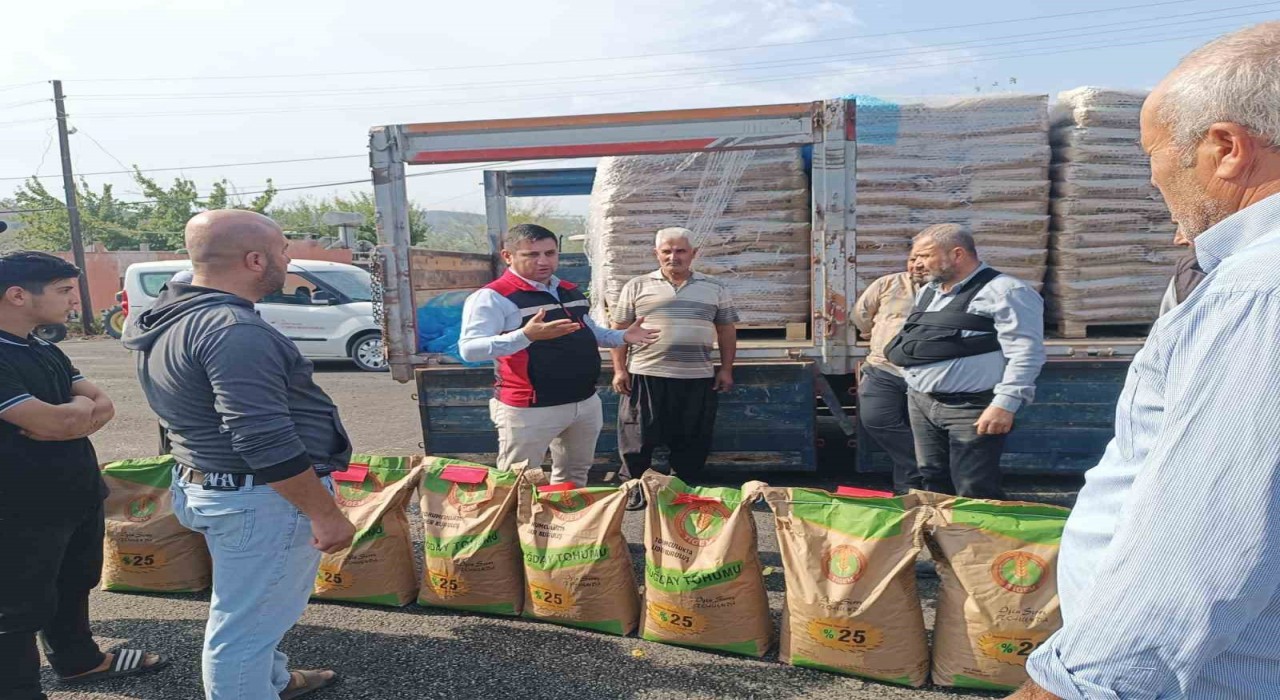 İmamoğlunda yangından etkilenen üreticilere buğday tohumu desteği