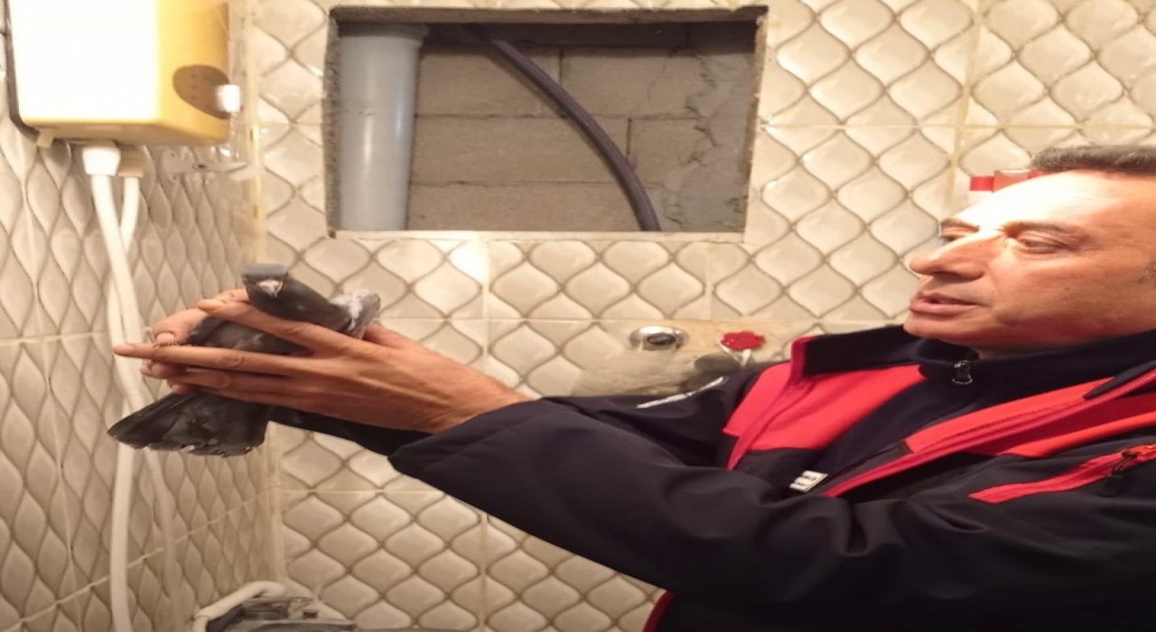 İskenderunda itfaiye ekiplerinden güvercin kurtarma operasyonu