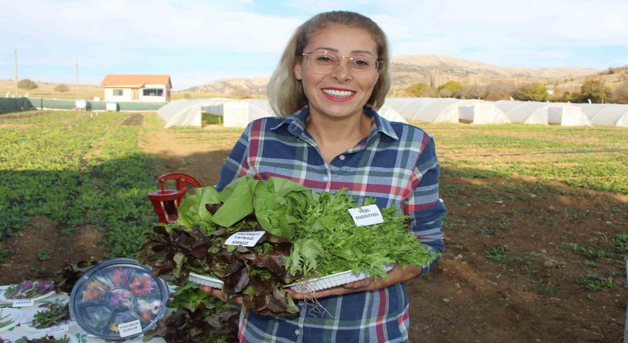 İstanbuldan köyüne dönen gıda mühendisi kadın yeşil mirası renklendirdi