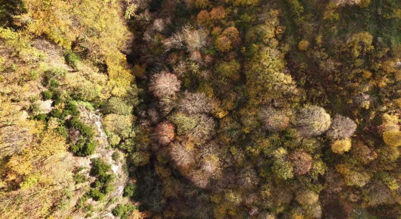 İstanbulun yanı başında sonbahar rotası