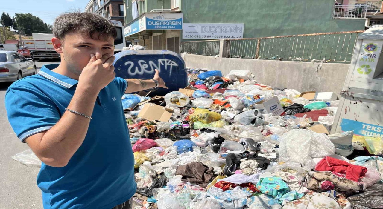 İzmirde çöp krizi sinek istilasına dönüştü, şehir dört koldan ilaçlanıyor