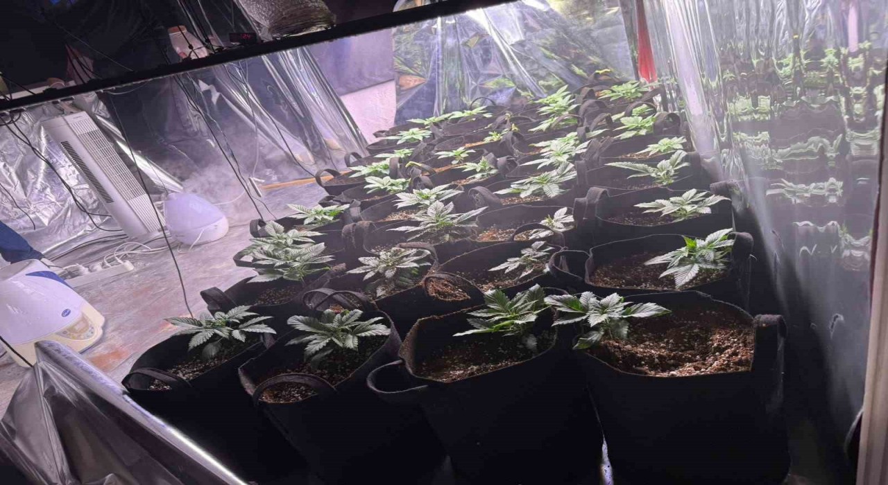 İzmirde uyuşturucu operasyonunda 1 tutuklama