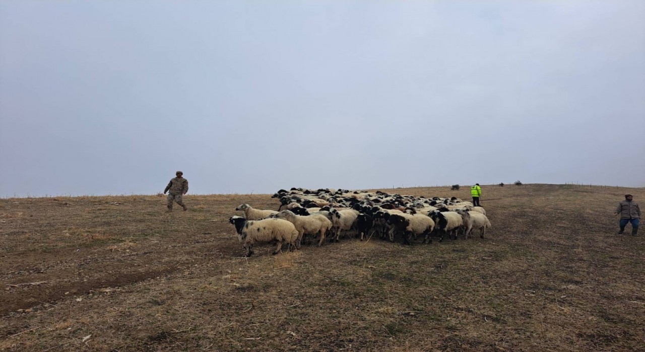 Jandarma arazide kaybolan küçükbaş hayvanları bularak sahibine teslim etti