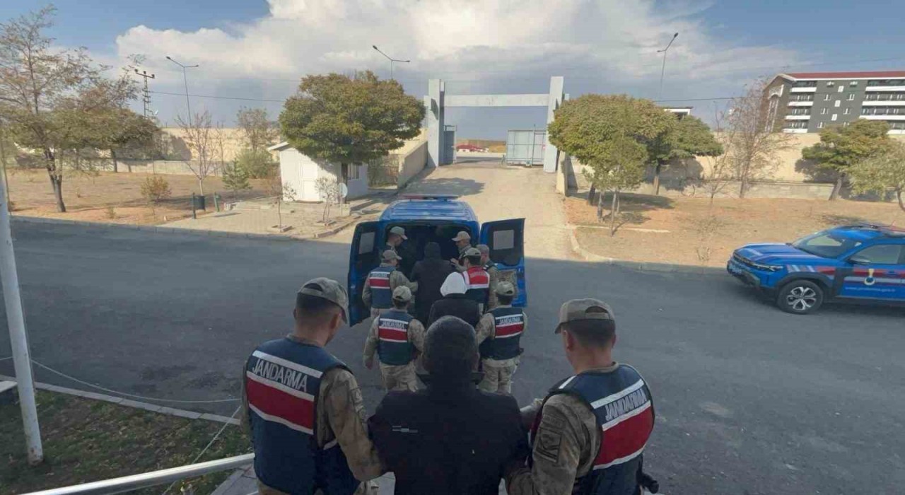 Jandarmadan kaçak kazı operasyonu