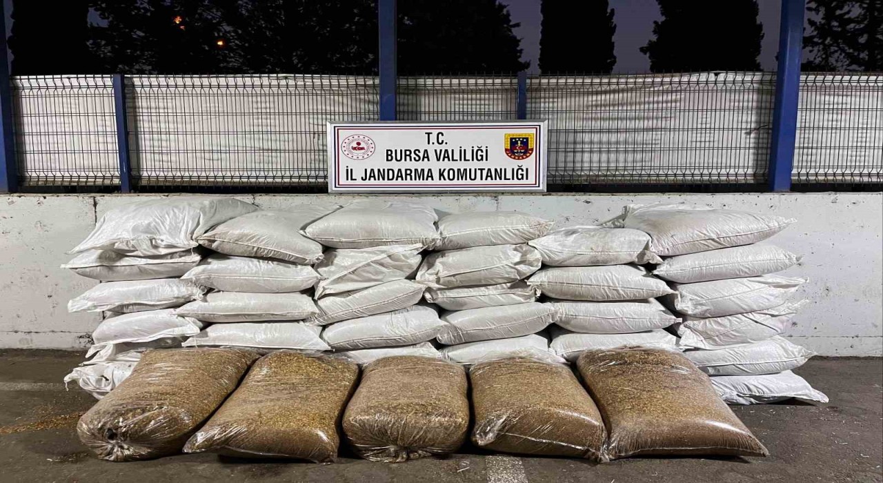 Jandarmadan kaçak sigara operasyonu