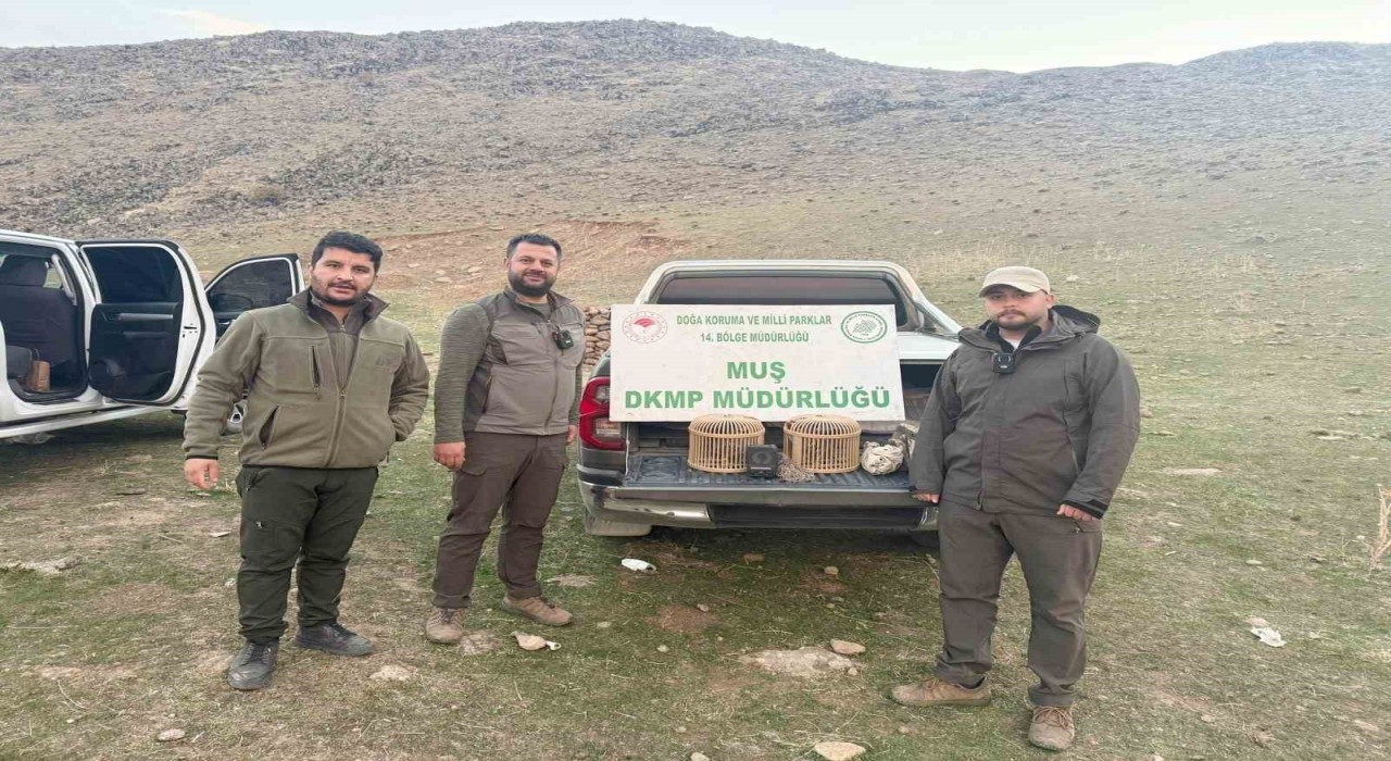 Kafes avcılığı yapan şahıs suçüstü yakalandı: 20 bin TL ceza