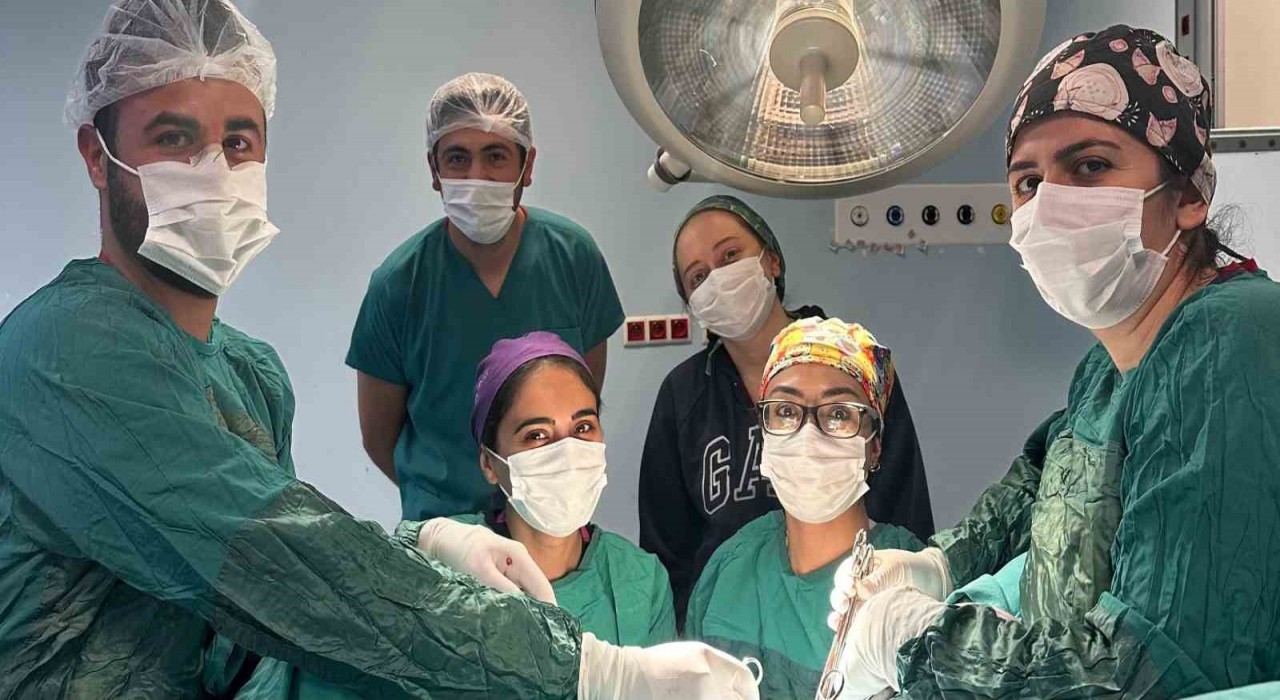 Kağızman Devlet Hastanesinde karın kesisi ameliyatı