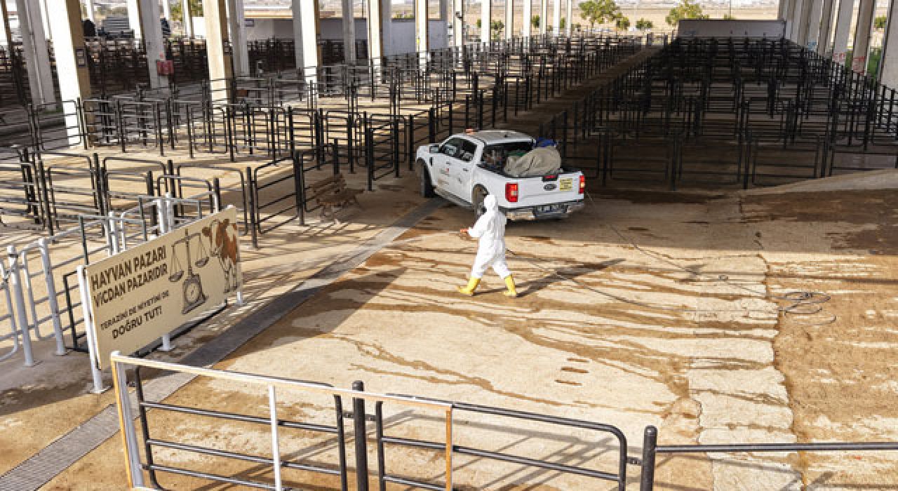 Kahramanmaraş Canlı Hayvan Pazarı’nda Kapsamlı İlaçlama Yapıldı