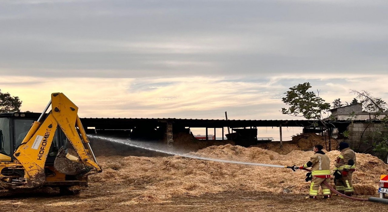 Kahramanmaraşta samanlık yangını