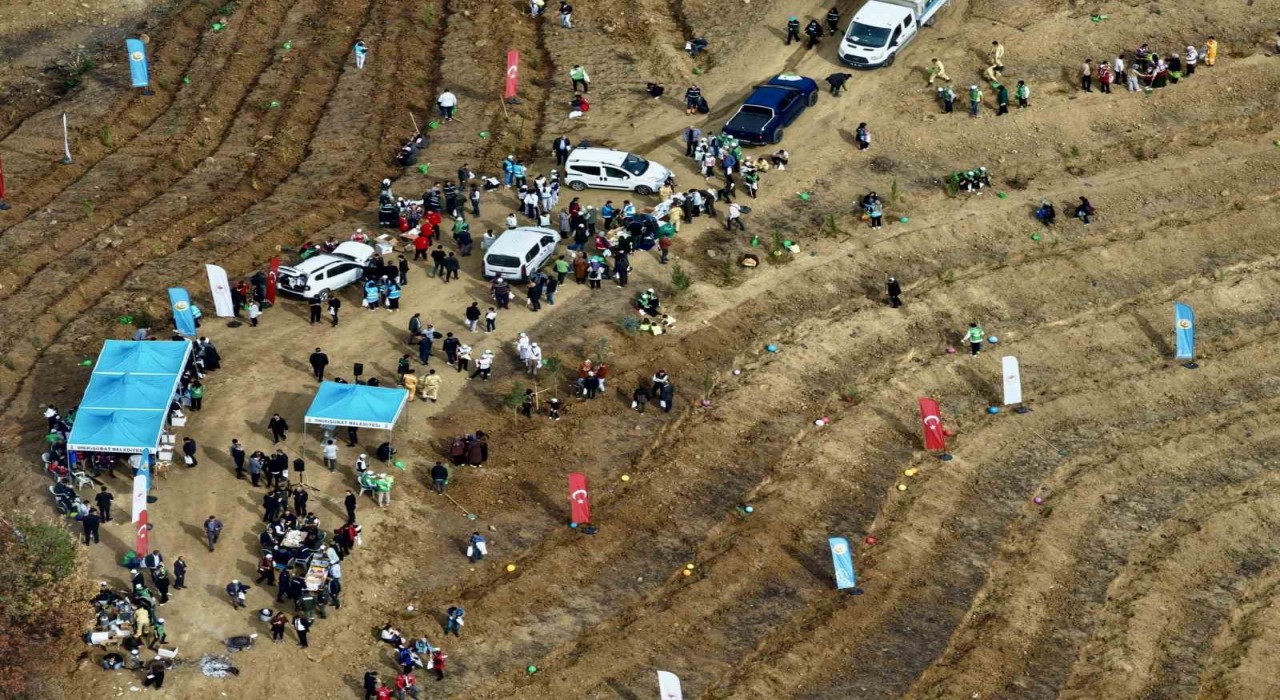 Kahramanmaraşta yanan alanlara fidanlar dikildi