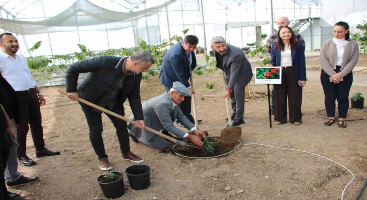 Kahve sadece adıyla değil üretimiyle de Türk olacak