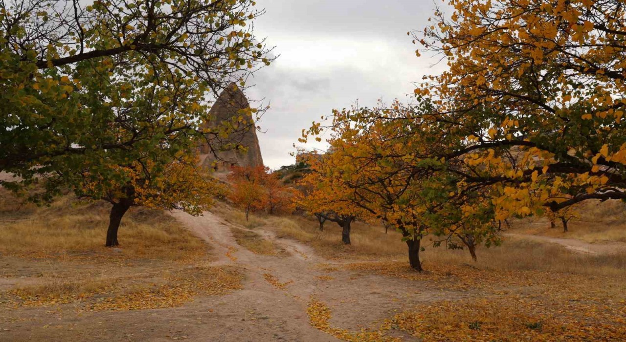 Kapadokyadaki renk cümbüşü dron ile görüntülendi
