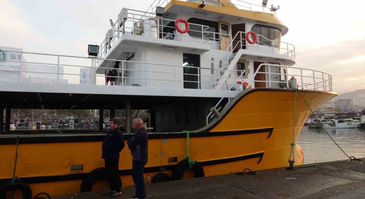 Karadenizden bu sezon adeta hamsi fışkırıyor