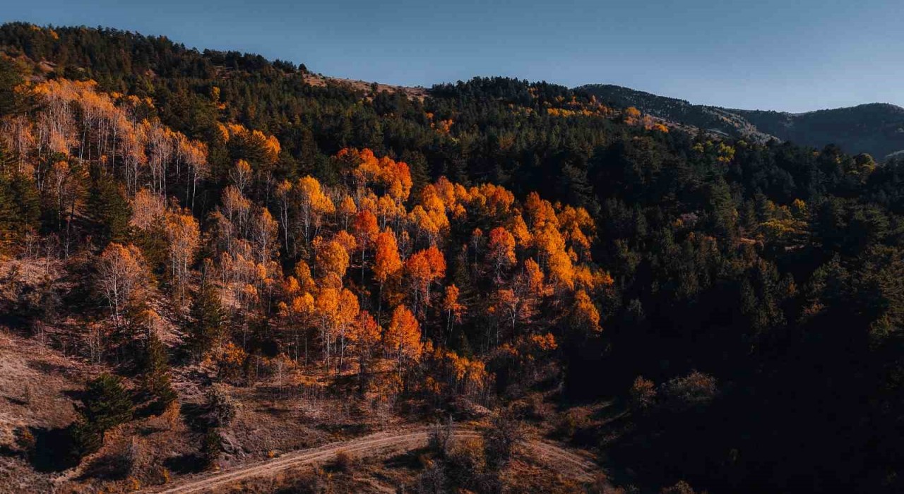 Karagöl Tabiat Parkında sonbahar, renkli görüntüler oluşturdu