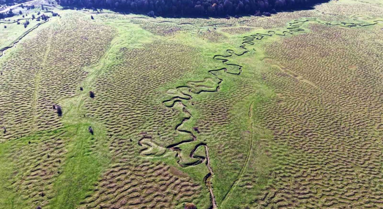 Karagöl Yaylasının eşsiz menderesleri havadan görüntülendi