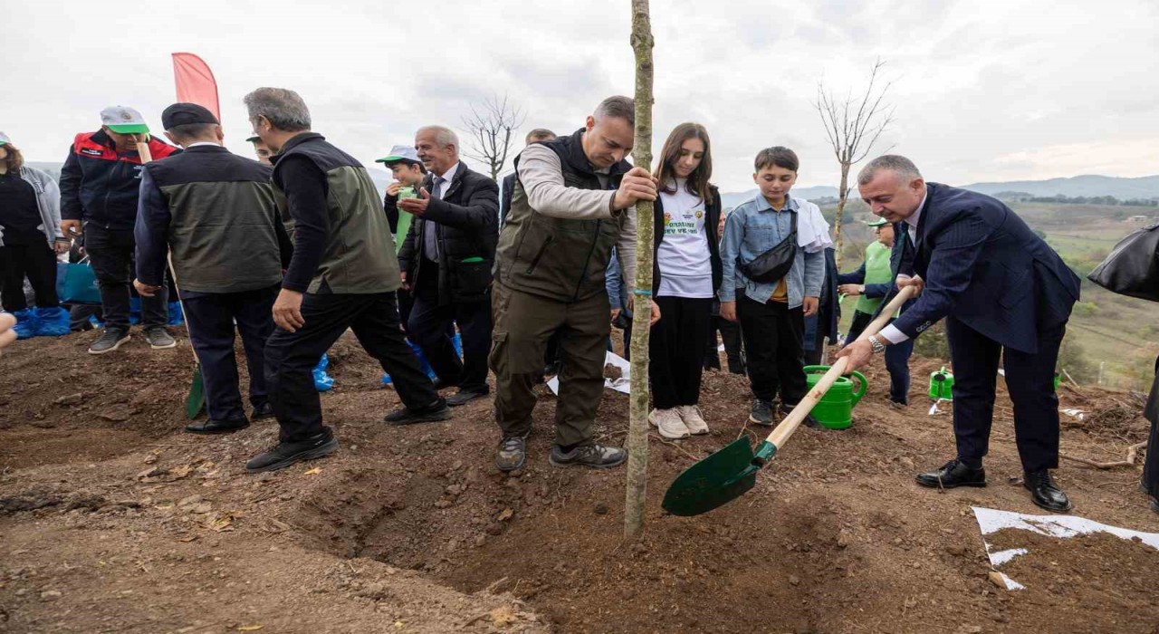 Karamürselde yanan bölge 3 bin fidanla yeniden yeşerecek