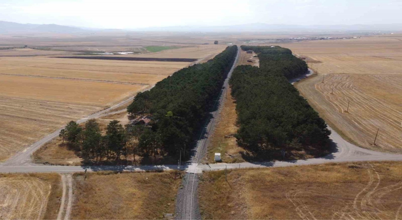 Karsta bozkırın ortasındaki vaha havadan görüntülendi