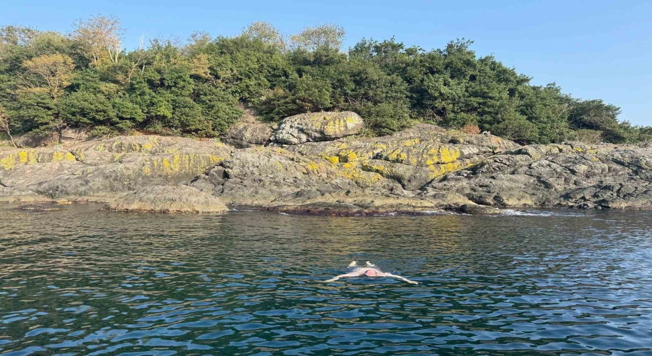 Kasımda deniz keyfi: Giresun Valisi Serdengeçti, adada yüzdü