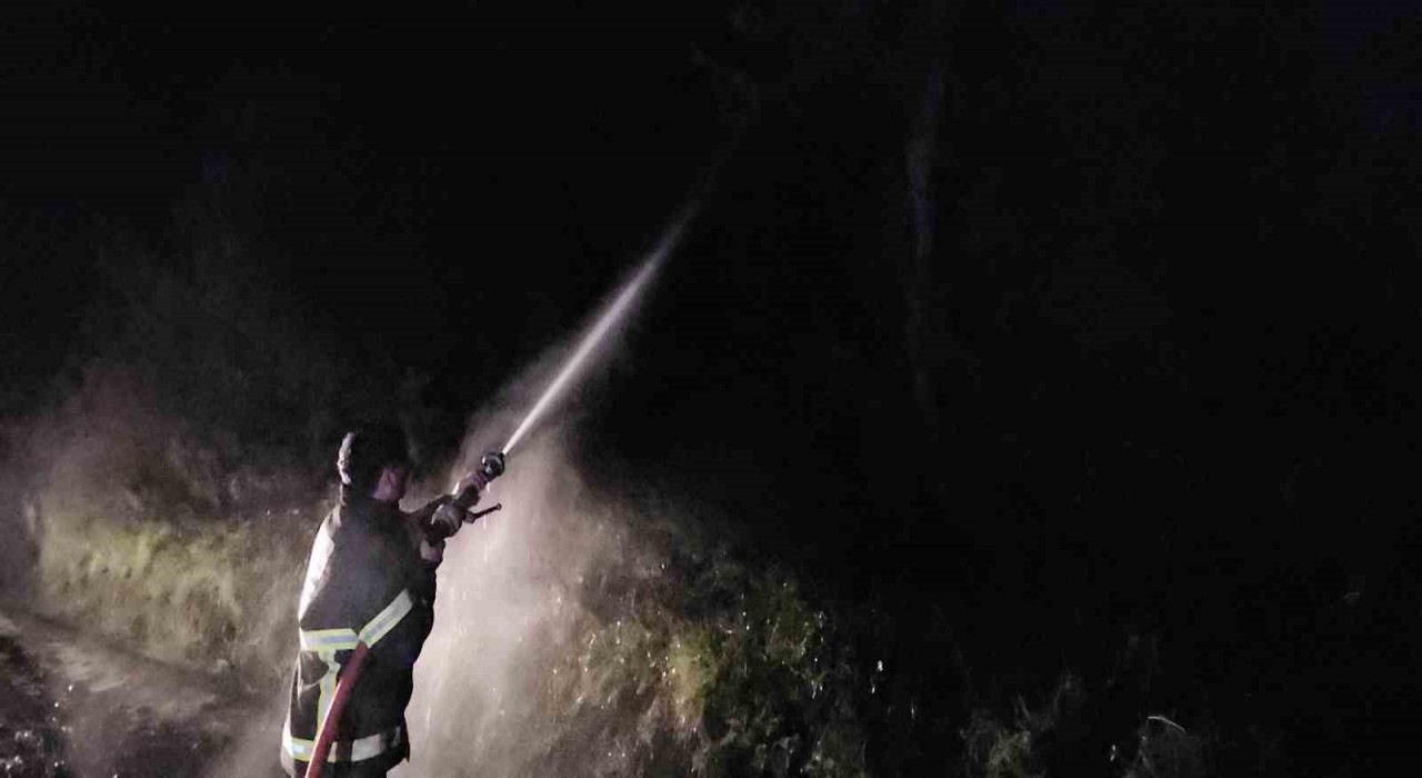 Kastamonuda çıkan orman yangını söndürüldü