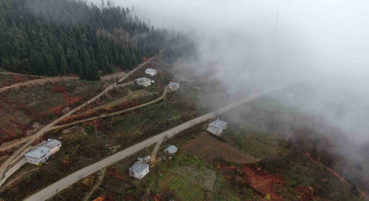 Kastamonuda Yaralıgöz geçidinde sis nedeniyle görüş mesafesi düştü