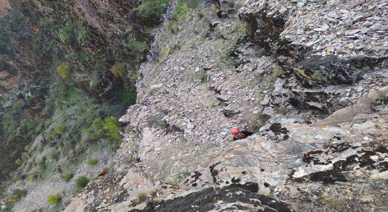 Kayalıklarda mahsur kalan keçiler kurtarıldı