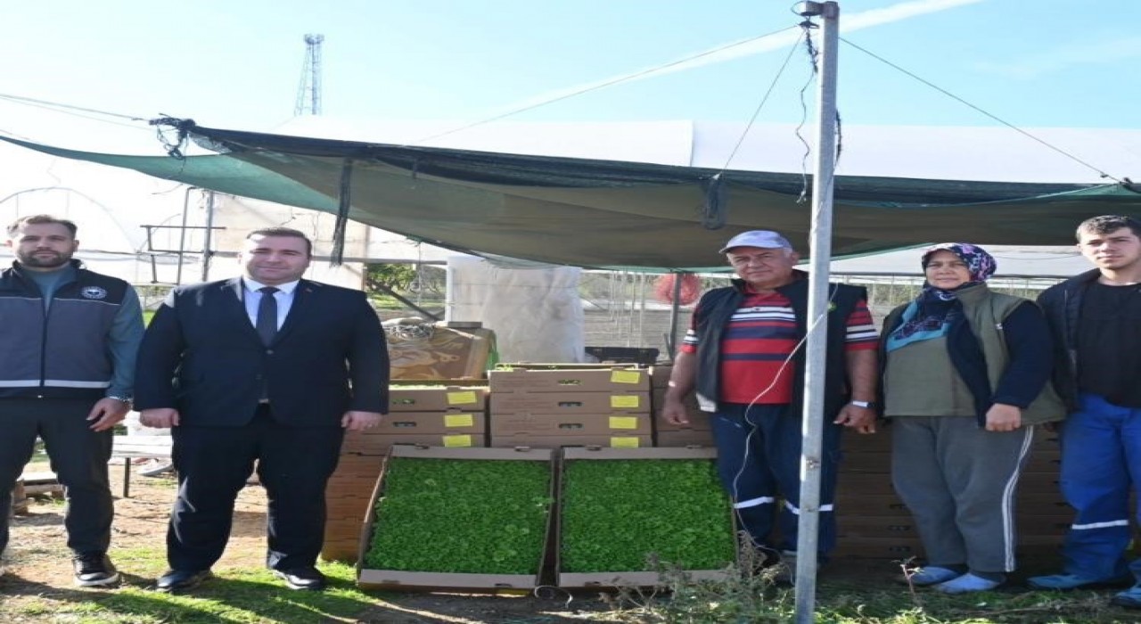 Kaymakam Ünaldan çiftçilere sertifikalı tohum desteği