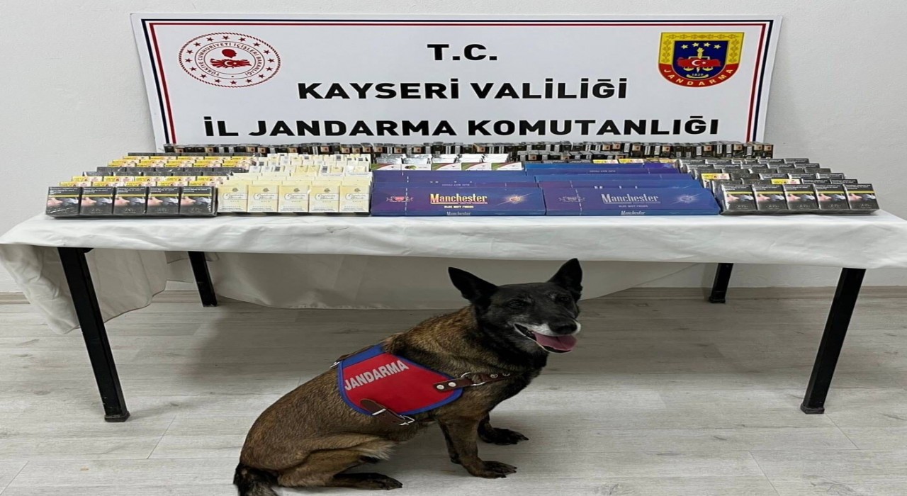 Kayseride 500 paket kaçak sigara ele geçirildi