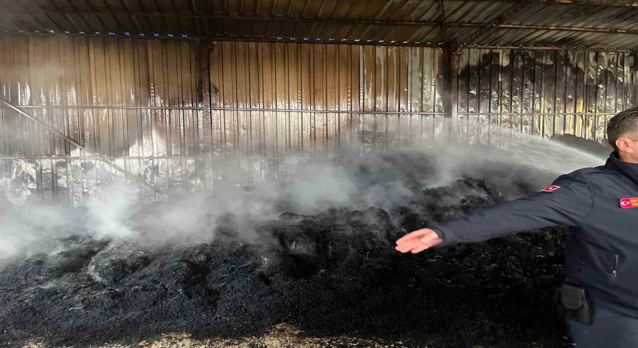 Keşanda çıkan yangında bin saman balyası yandı