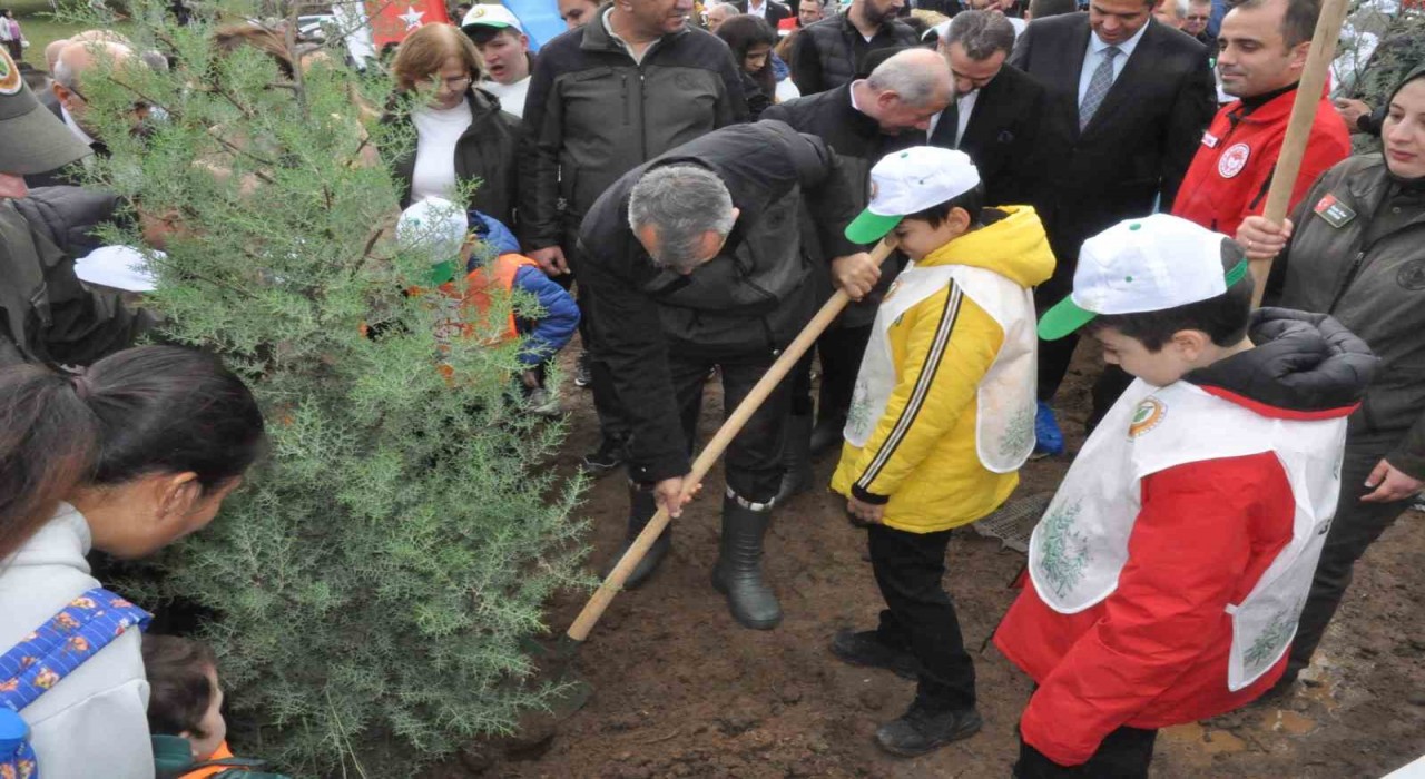Keşanda yangından zarar gören ormanlık alana 2 bin çam fidanı dikildi