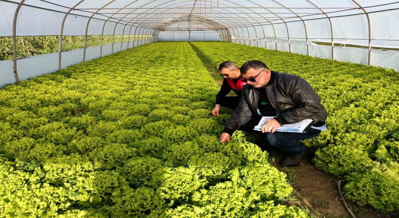 Kırklarelinde sera denetimleri