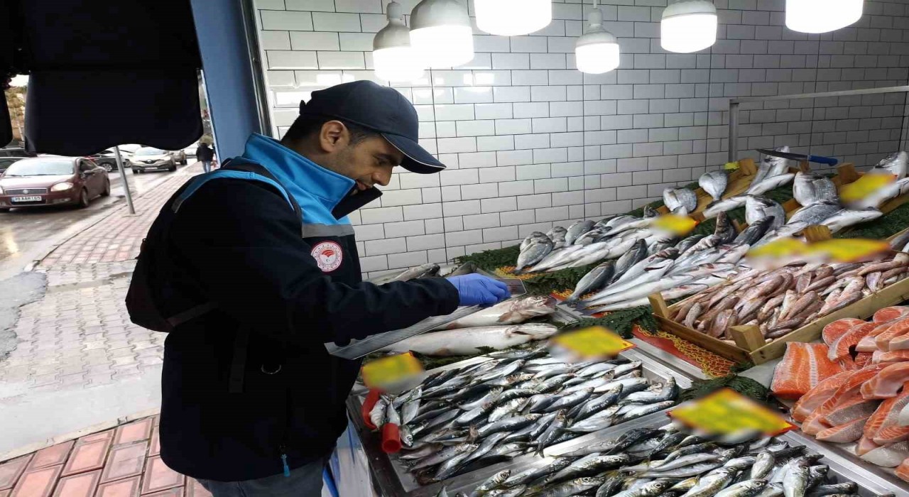 Kırklarelinde su ürünleri denetimi
