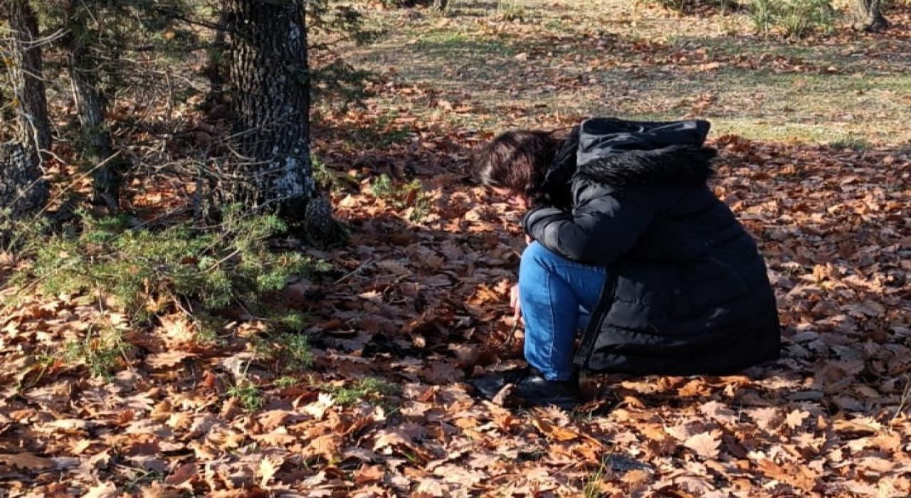 Kırklarelinde süne ile mücadele hamlesi: Sonbahar Kışlak Sürveyleri çalışmalarına başladı
