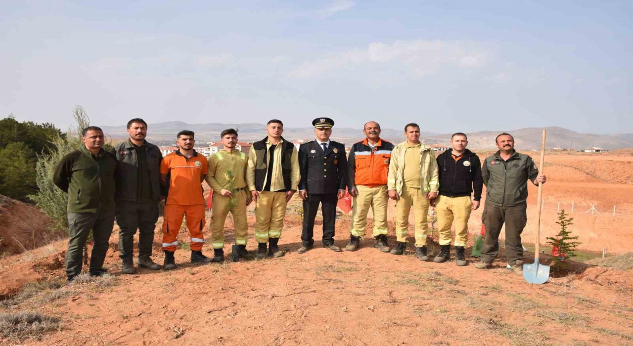 Kırşehirde şehitler anısına 500 fidan toprakla buluştu