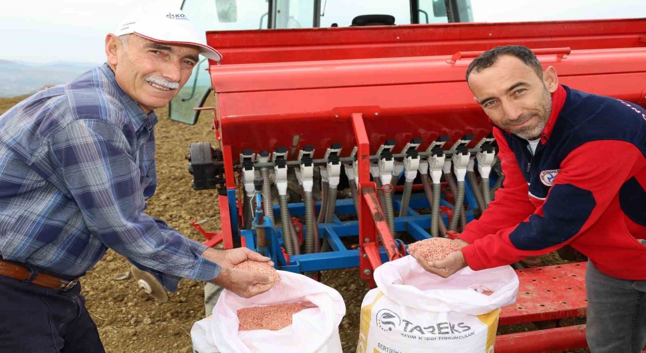 Kocaelide çiftçilere yüzde 75 hibeli tohum desteği