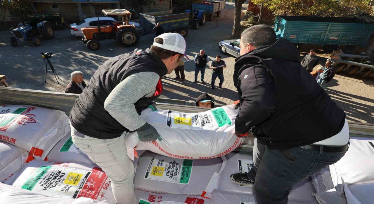 Konya Büyükşehirden çiftçiye kuraklığa dayanıklı mercimek tohumu desteği