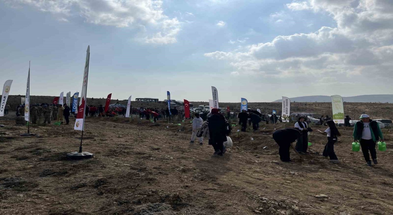 Konyada 33 bin 811 fidan toprakla buluştu