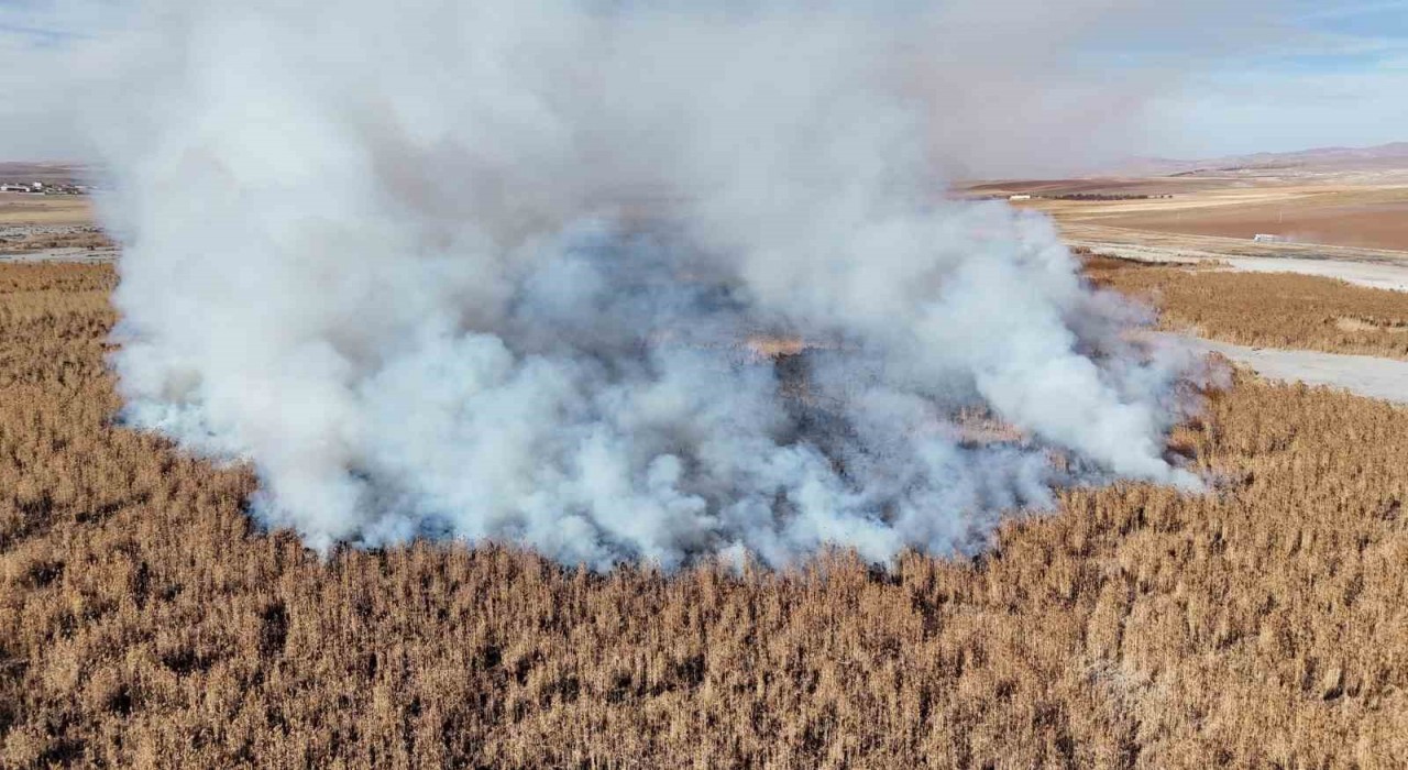 Konyada sazlık alanda yangını