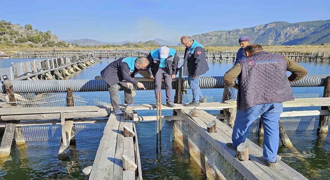 Köyceğiz Gölü, Dalyan ve İztuzunda denetim