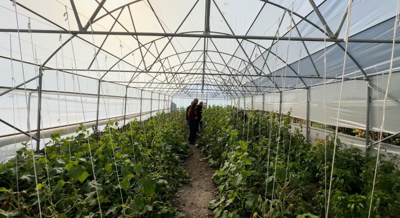 Köye Dönüş projesi çerçevesinde kurulan seralar sayesinde, boşaltılan köyler yeniden hayat buldu