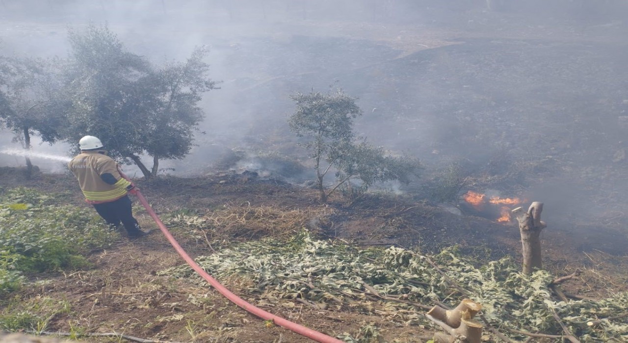 Kumluda bahçe yangını