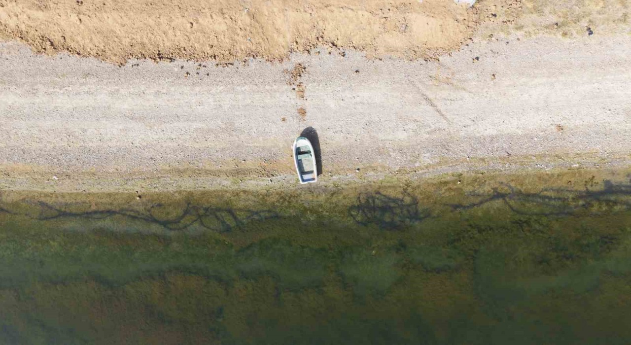 Kuraklık riski büyüyor, çiftçiden uyarı: Suyu dikkatli kullanmazsak ekmeğimizi kaybederiz