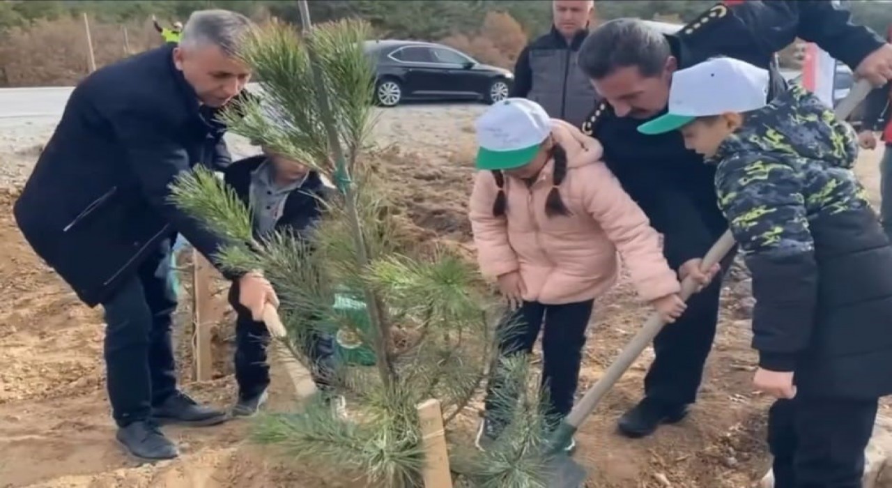 Kütahyada şehitler anısına 400 fidan toprakla buluştu