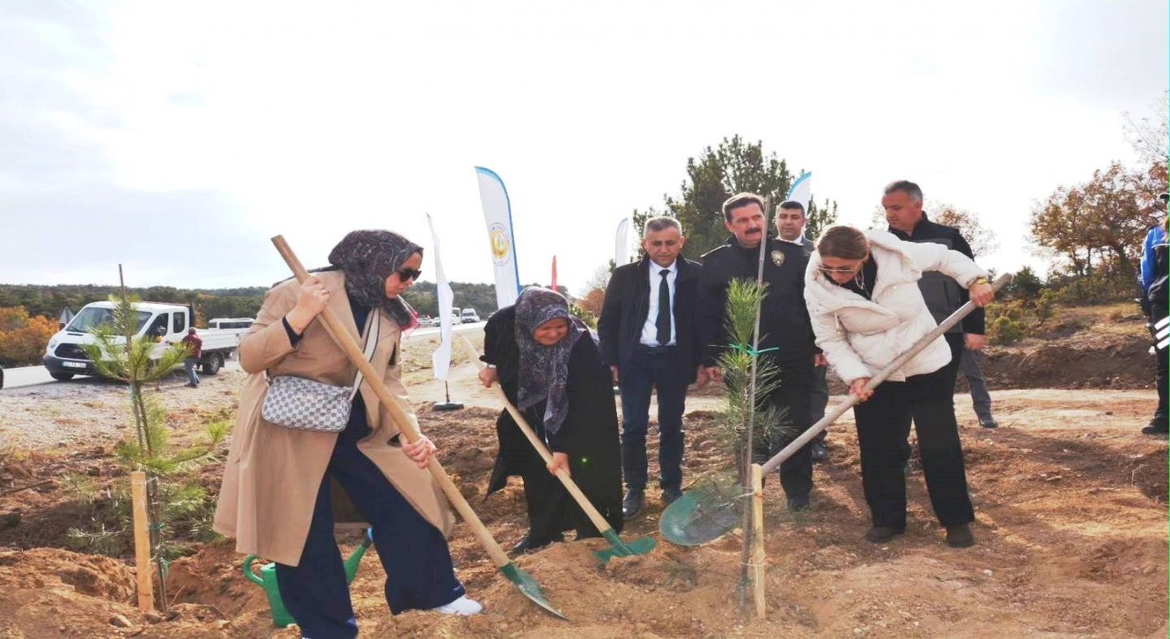 Kütahyada şehitler için 350 fidan toprakla buluştu