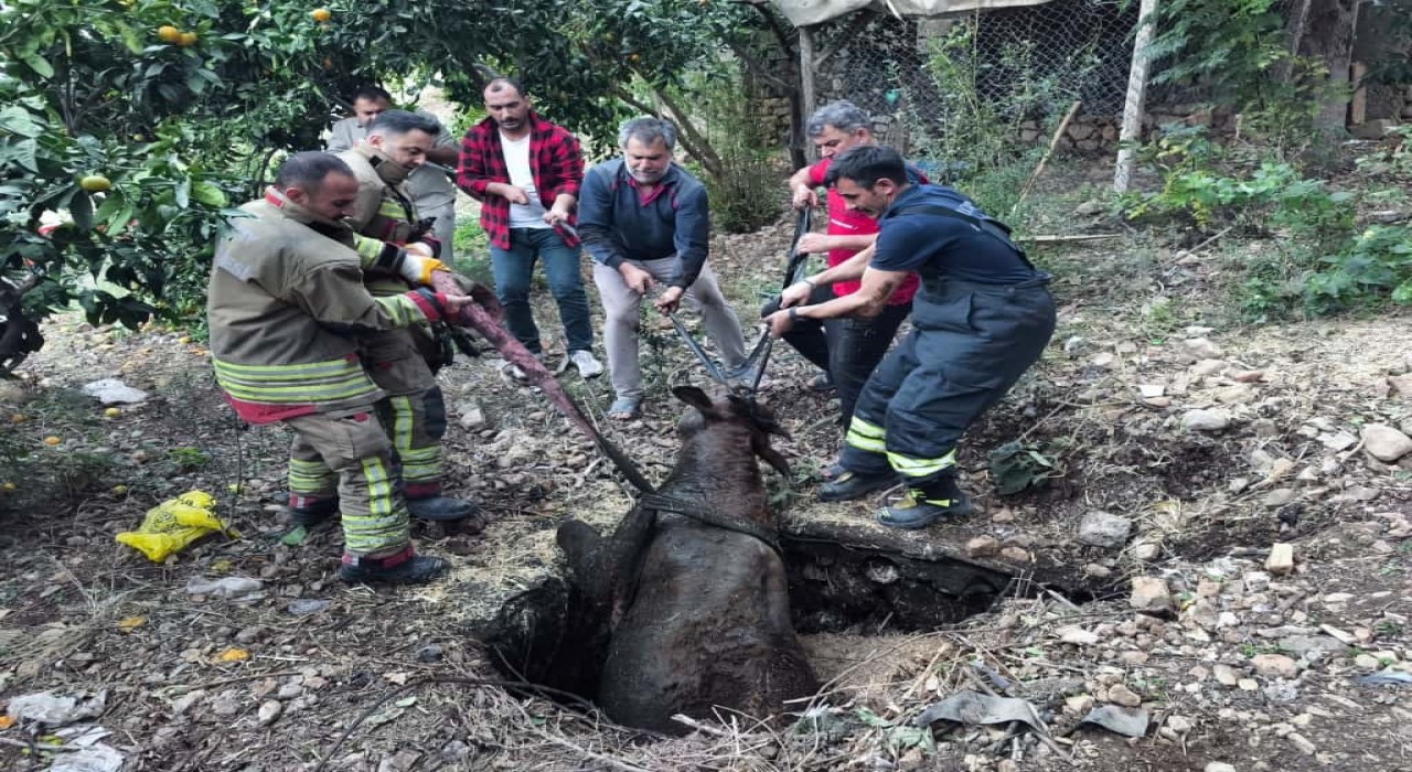 Kuyuya düşen ineği itfaiye kurtardı